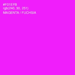 #F01EFB - Magenta / Fuchsia Color Image